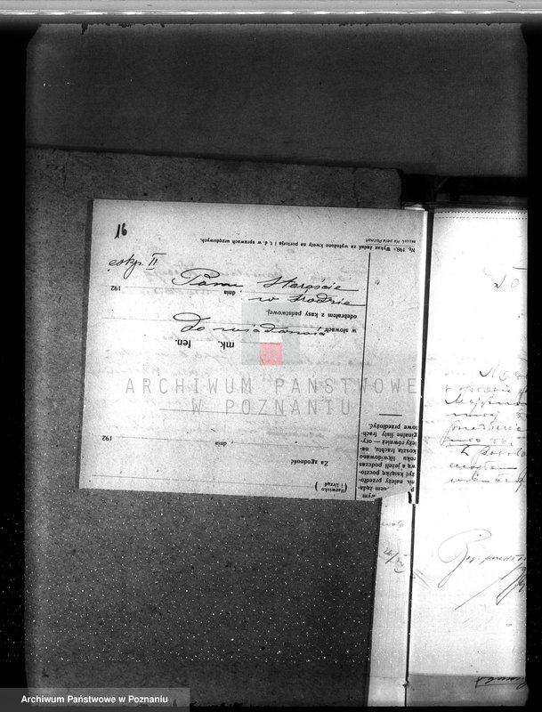 Obraz 20 z jednostki "Majętność leśna Brodowo powiat średzki"