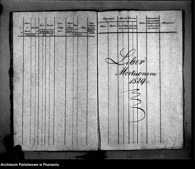 Obraz 12 z jednostki "Duplikat libri baptisatorum, copulatorum, mortuorum"