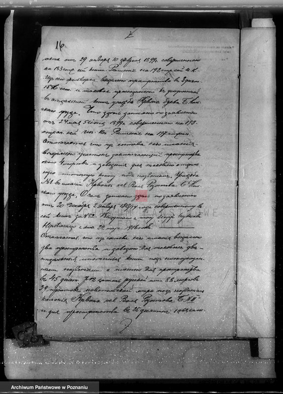 Obraz 20 z jednostki "Majątek Krwony powiat kolski /nadzór nad gospodarką leśną/"