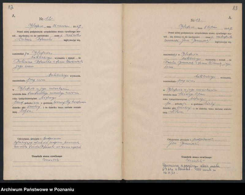 image.from.unit.number "Księga urodzeń"