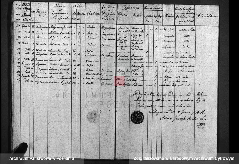 image.from.unit.number "Duplicatum baptisatorum, copulatorum, mortuorum"