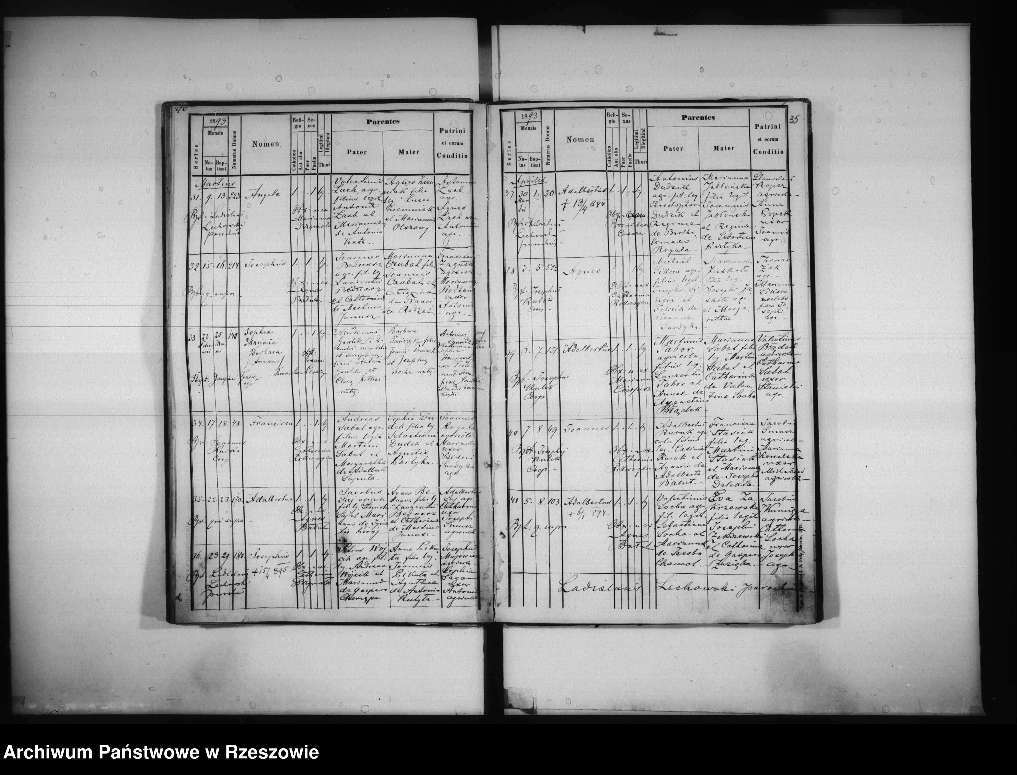 Skan z jednostki: Księga urodzeń - Kamień