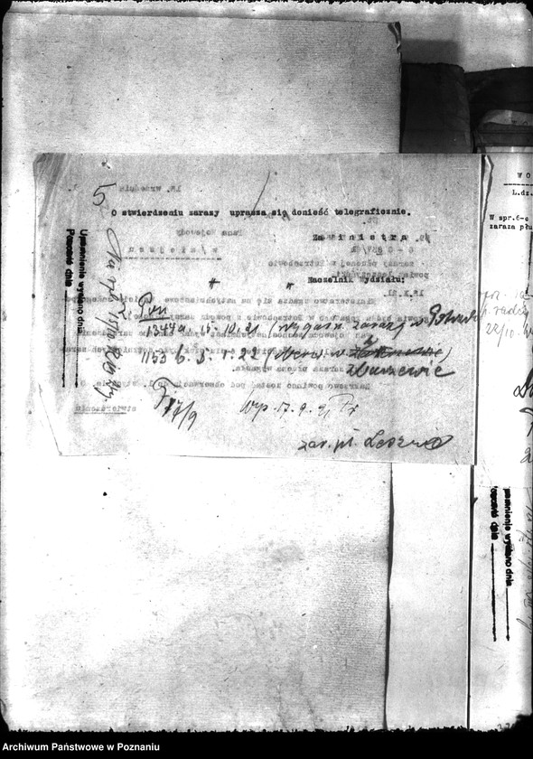 Obraz 9 z jednostki "Zaraza płucna - Leszno"