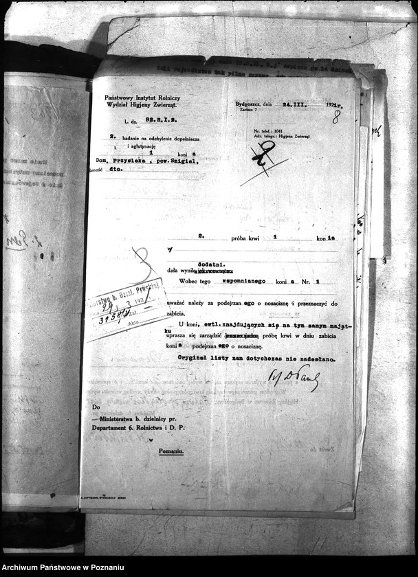 Obraz 12 z jednostki "Nosacizna - Śmigiel"