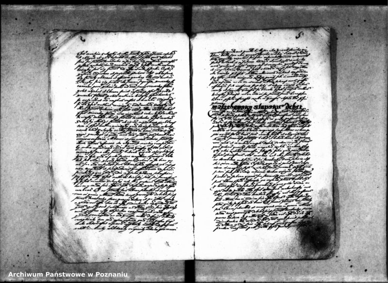 Obraz 10 z jednostki "Inscriptiones [inducta]"