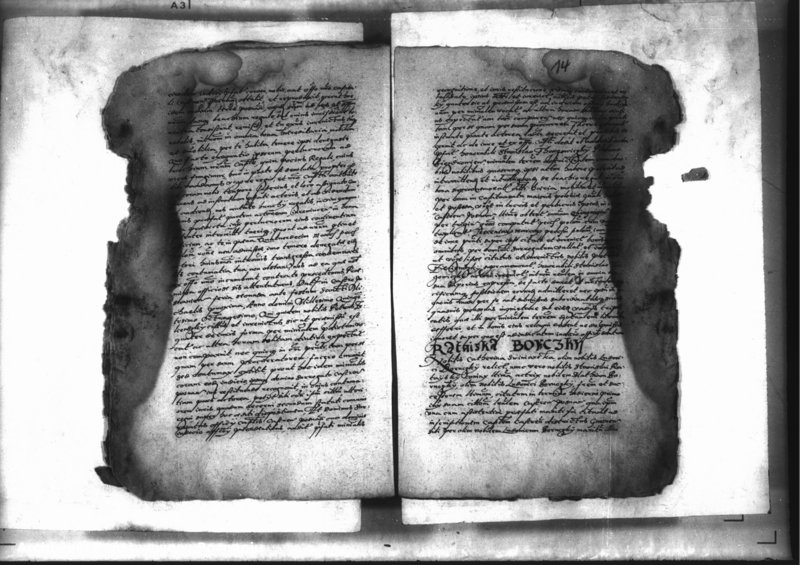 Obraz 17 z jednostki "Decreta officii [inducta]"