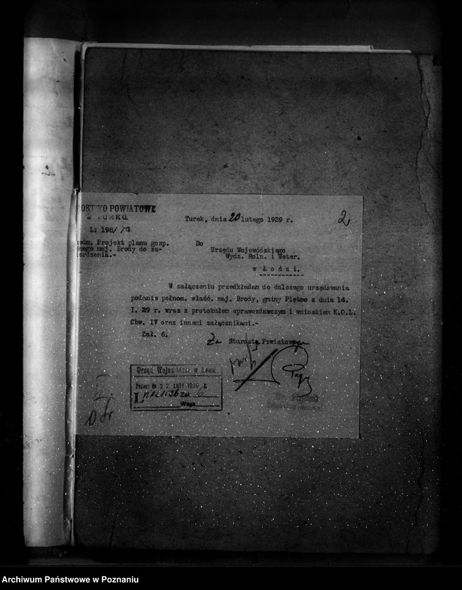 Obraz 6 z jednostki "Zatwierdzenie planu gospodarstwa leśnego dla majątku Brody powiatu tureckiego"