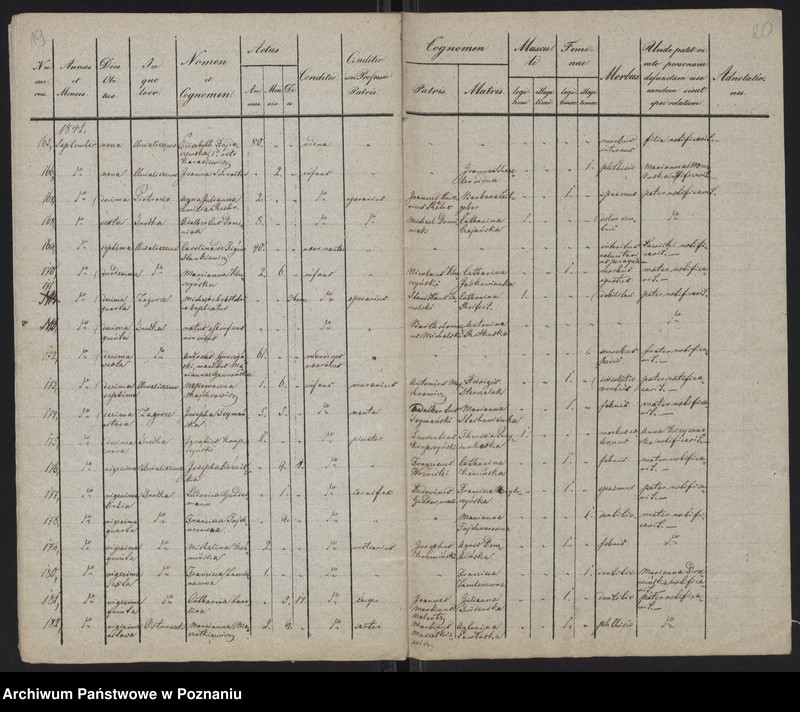 Obraz 12 z jednostki "Spis zgonów"