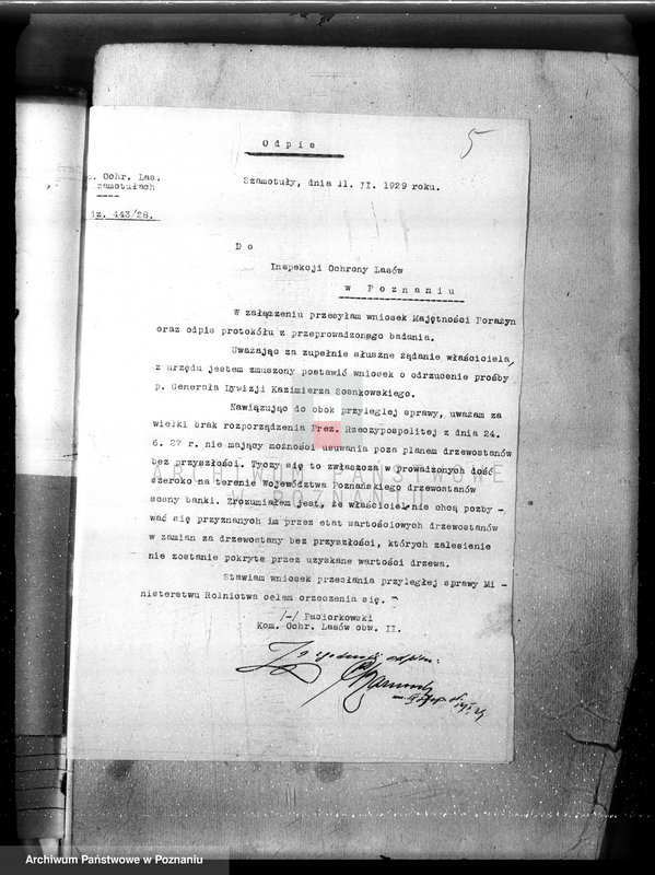 Obraz 9 z jednostki "Majętność leśna Porażyn w powiecie nowotomyskim"