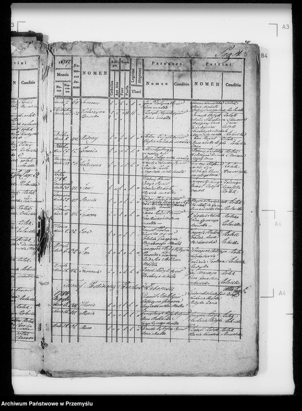 Obraz 8 z jednostki "[Kopie ksiąg metrykalnych parafii Żabcze Murowane z filią Bezejów (dekanat Bełz)]"