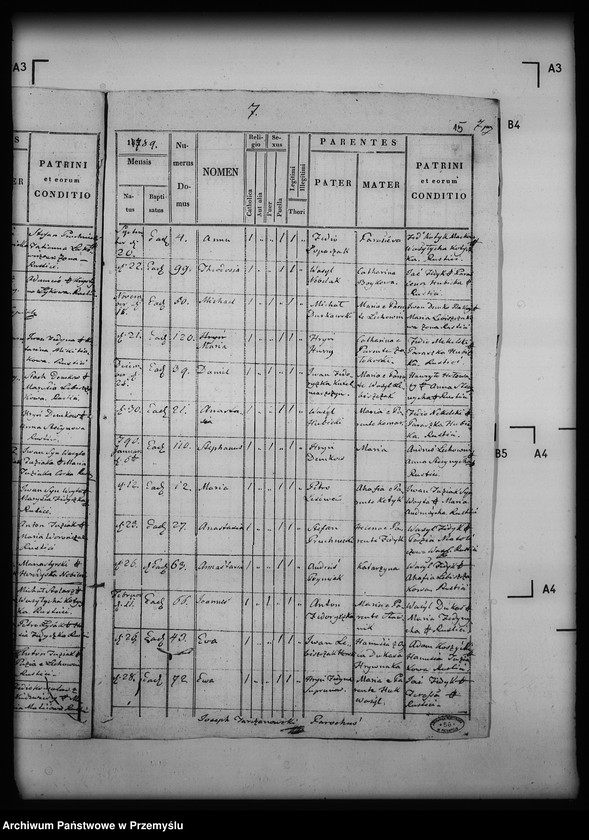 Obraz 19 z jednostki "[Kopie ksiąg metrykalnych parafii Łużek Dolny (dekanat Drohobycz)]"