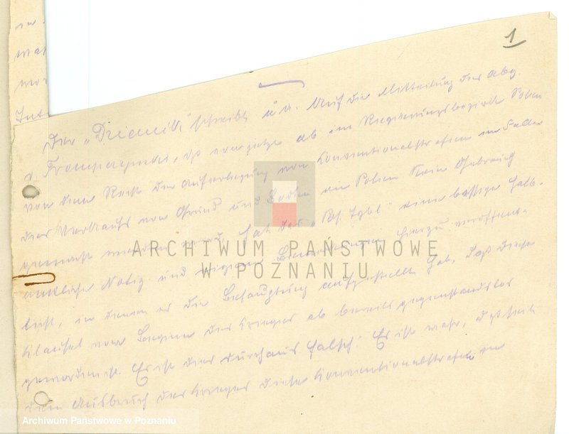 Obraz 8 z jednostki "Sytuacja przed wybuchem powstania wielkopolskiego. /Tłumaczenia z prasy polskiej na język niemiecki, wypisy z prasy niemieckiej w Poznaniu/ - część lV."