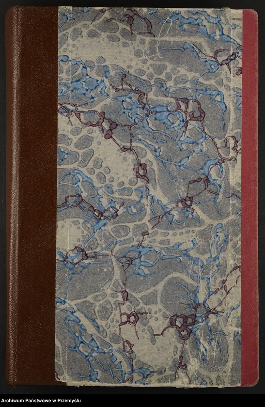 Obraz 2 z jednostki "Księga urodzeń Zasanie"