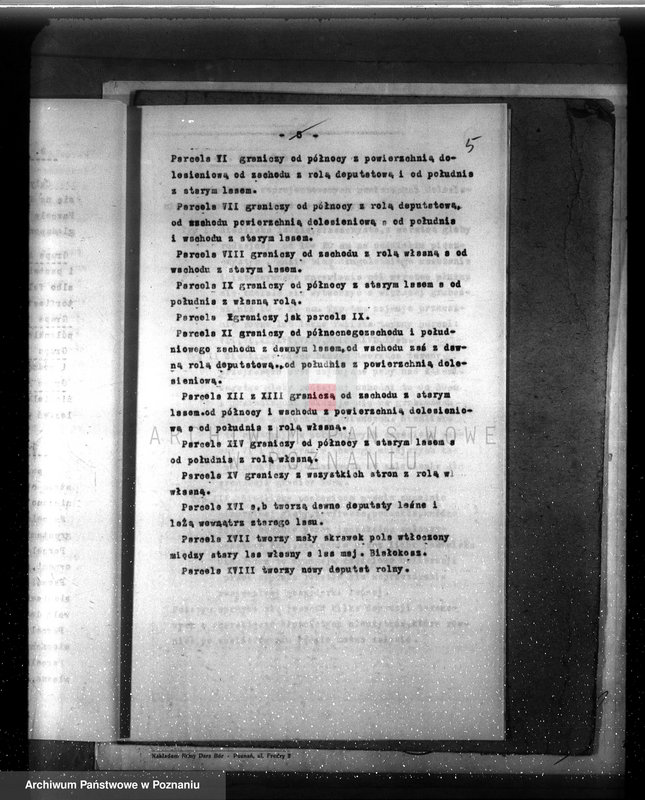 Obraz 9 z jednostki "Dodatkowy plan urządzenia gospodarstwa leśnego dla lasu majętności Grzuszyn powiat szamotulski"