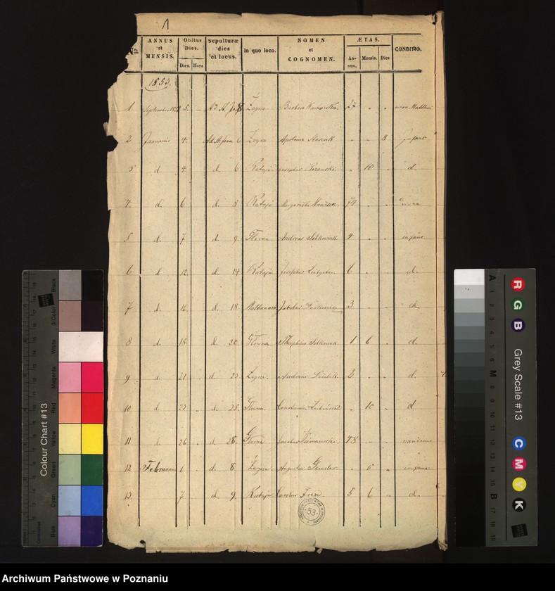 Obraz 3 z jednostki "Księga zgonów"