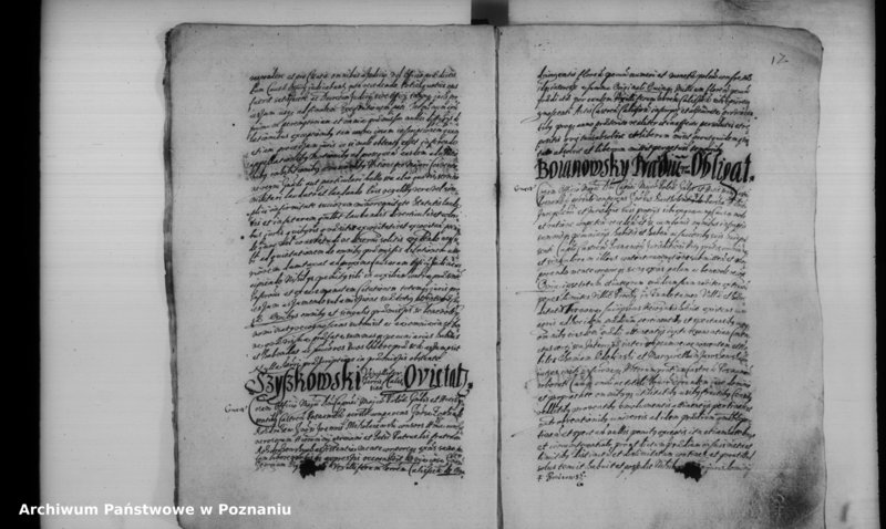 Obraz 17 z jednostki "Inscriptiones [inducta]"