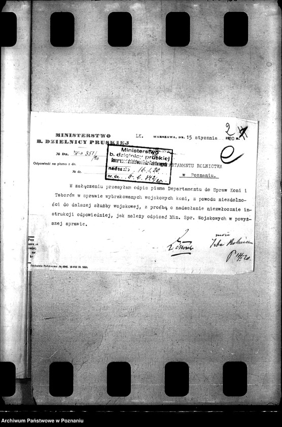 Obraz 6 z jednostki "Konie wojskowe dla ludności cywilnej"