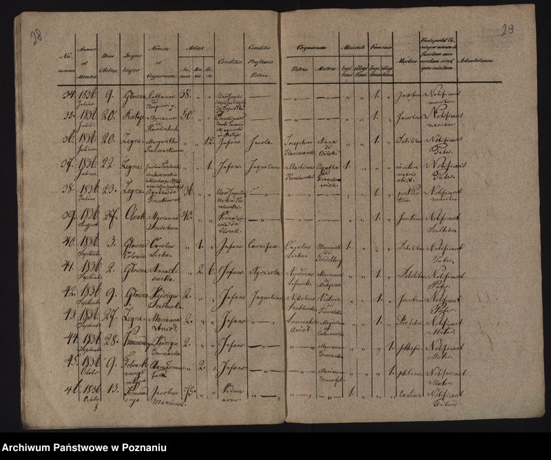image.from.unit.number "Księga urodzeń, małżeństw i zgonów"