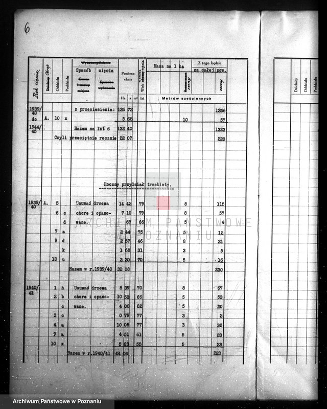 Obraz 10 z jednostki "/Las majątku Wielichowo/"
