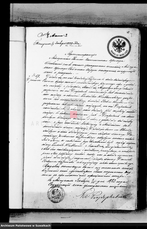 image.from.unit.number "Dokumenty o brakosočetavšichsja Serejskago Rimsko-Katoličeskago Prichoda za 1882 god"