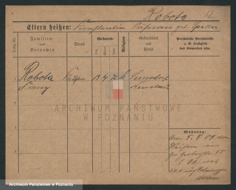 Obraz 14 z jednostki "Robinson - Rodziewicz"