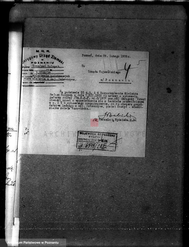 Obraz 9 z jednostki "Majętność leśna Dzięczyna w powiecie gostyńskim"