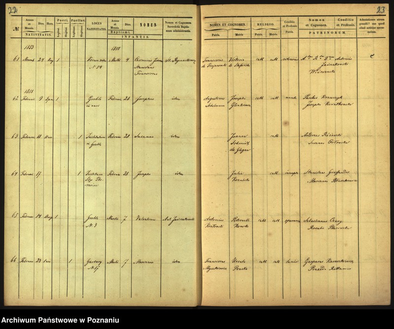 Obraz 14 z jednostki "Księga urodzin"