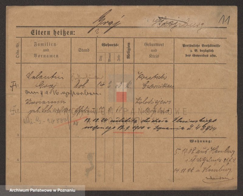 Obraz 13 z jednostki "Grage - Gralinski"