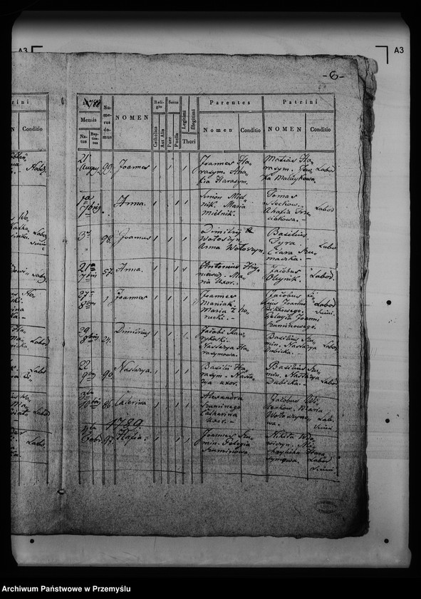 Obraz 12 z jednostki "[Kopie ksiąg metrykalnych parafii Krynica (dekanat Medenice)]"