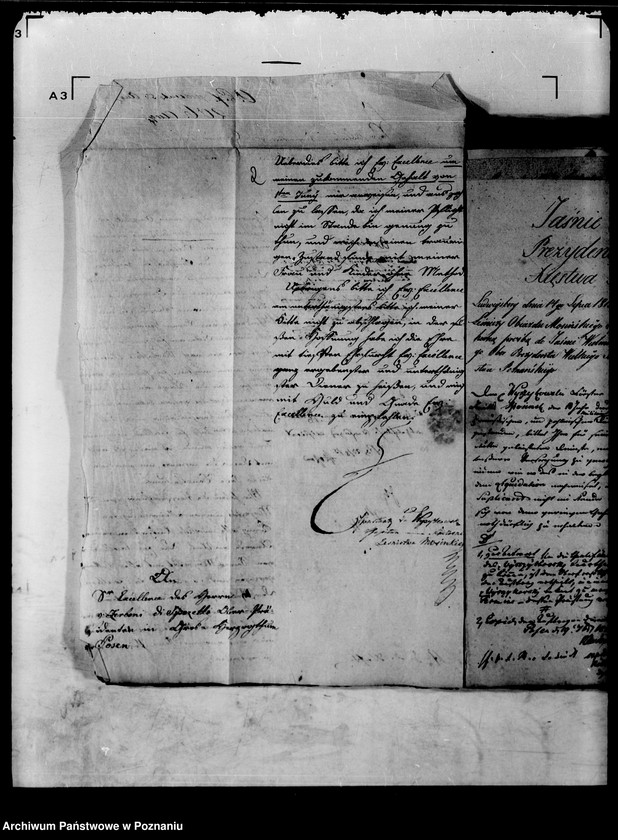 Obraz 7 z jednostki "Die Entlassung und Pensionierung des Herrn Oberförsters von Wyrzykowski zu Moschin /Mosina/."