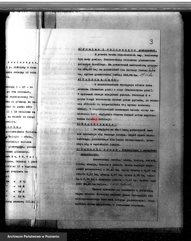 Obraz 7 z jednostki "Plan urządzania gospodarstwa leśnego dla lasu majętności Jezierzyce powiat kościański 1927-1938"