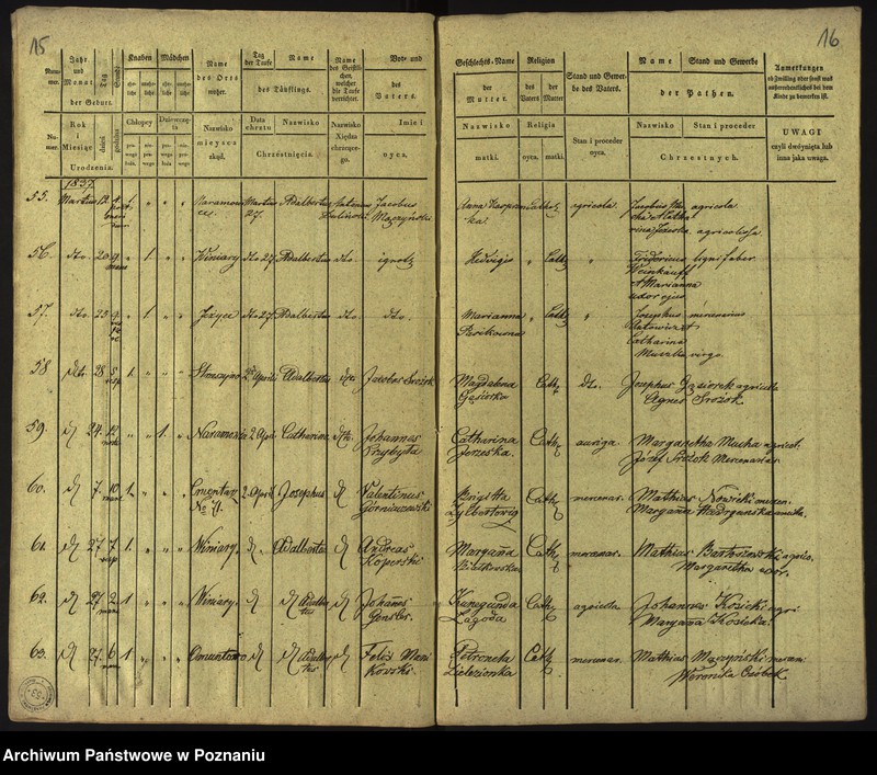 Obraz 11 z jednostki "Księga urodzeń"