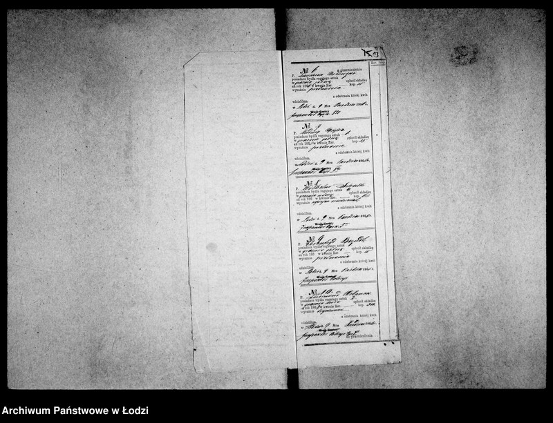 Obraz 13 z jednostki "Akta tyczące się bydła domowego"