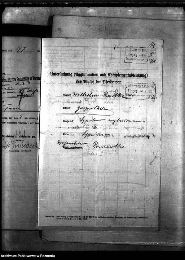 Obraz 18 z jednostki "Nosacizna - Sempolno"