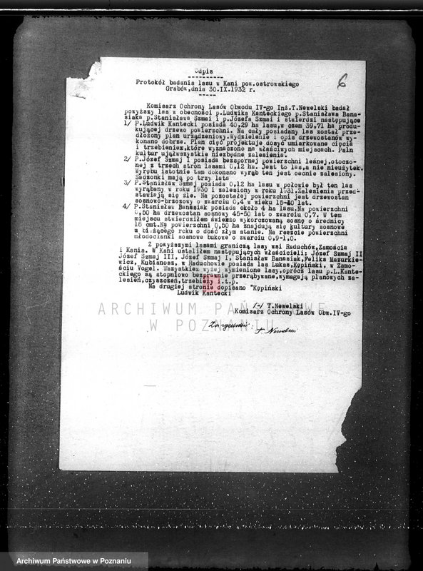 Obraz 9 z jednostki "Nadzór nad gospodarką w lasach L. Kanteckiego Kania powiat ostrowski"