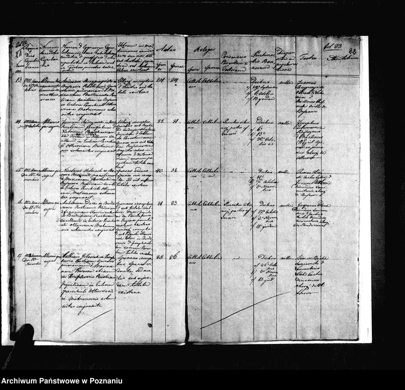 image.from.unit.number "Duplicat baptisatorum, copulatorum, mortuorum"