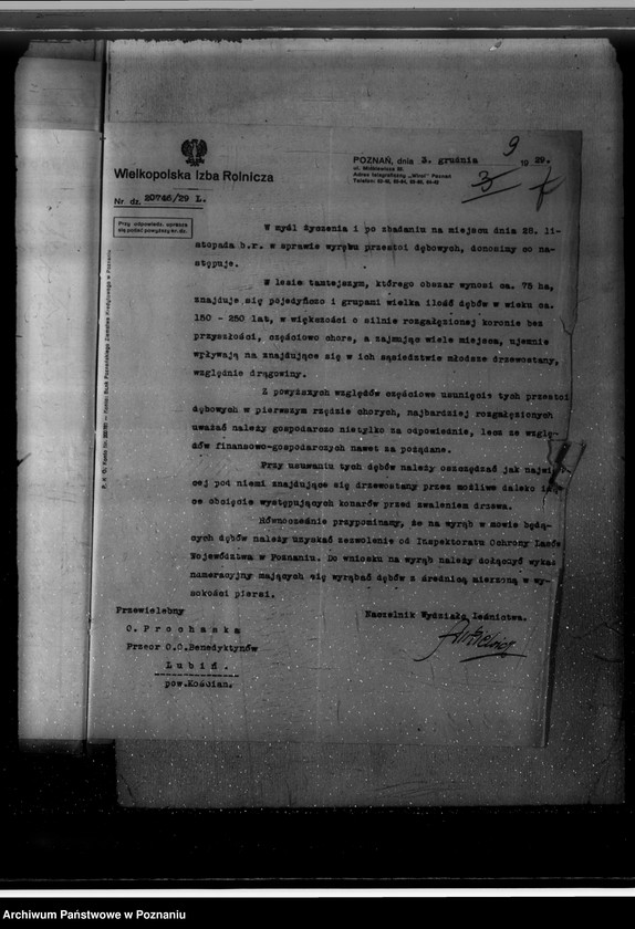 Obraz 13 z jednostki "Nadzór nad gospodarką w lasach O.O. Benedyktynów w Lubiniu powiat kościański"