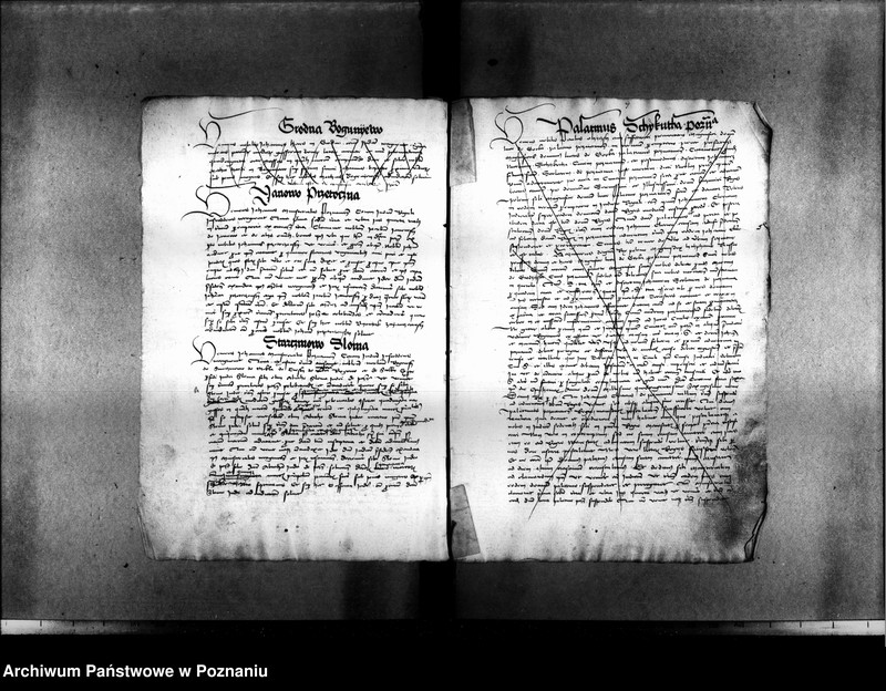 Obraz 17 z jednostki "Resignationes ,inscriptiones, relationes, decreta [protocollon]"