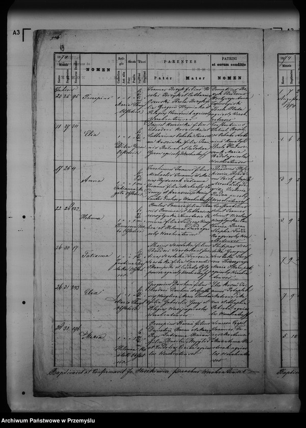 Obraz 17 z jednostki "[Kopie ksiąg metrykalnych parafii Werchrata z filią Prusie (dekanat Rawa Ruska)]"