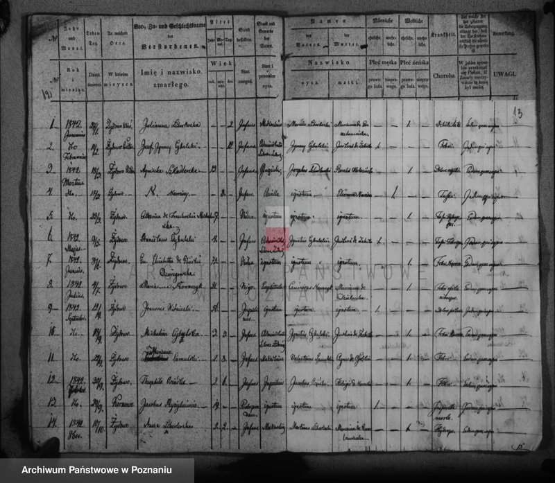 Obraz 10 z jednostki "Duplikat baptisatorum, copulatorum, mortuorum"