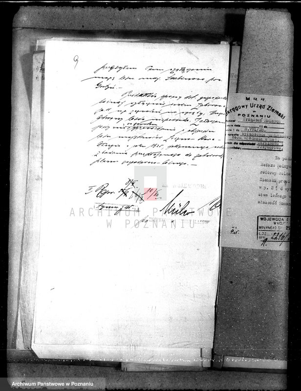 Obraz 12 z jednostki "Majętność leśna Sarbinowo w powiecie gostyńskim"