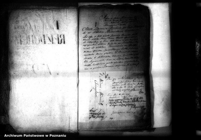 Obraz 5 z jednostki "Relationes [protocollon]"