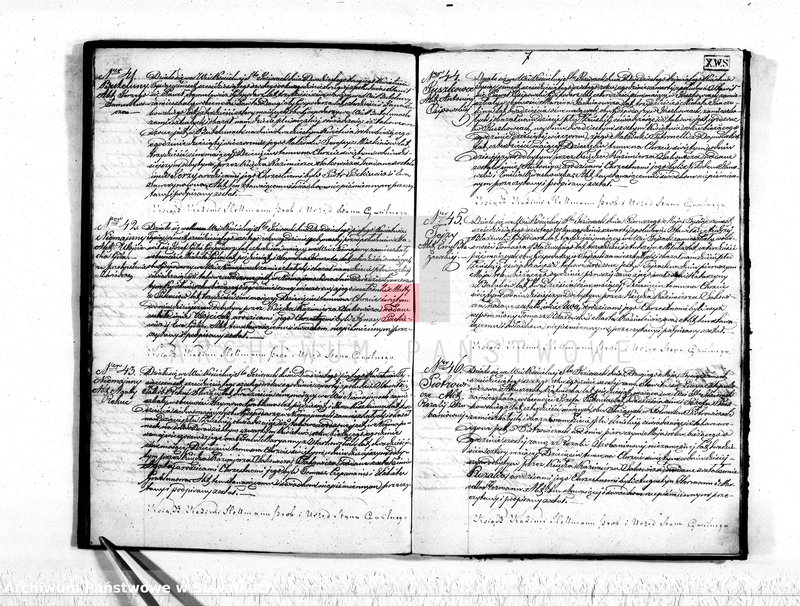 Obraz 9 z jednostki "Akta stanu cywilnego parafij Św. Jeziorskiej urodzonych, zaślubionych i umarłych z roku 1866"