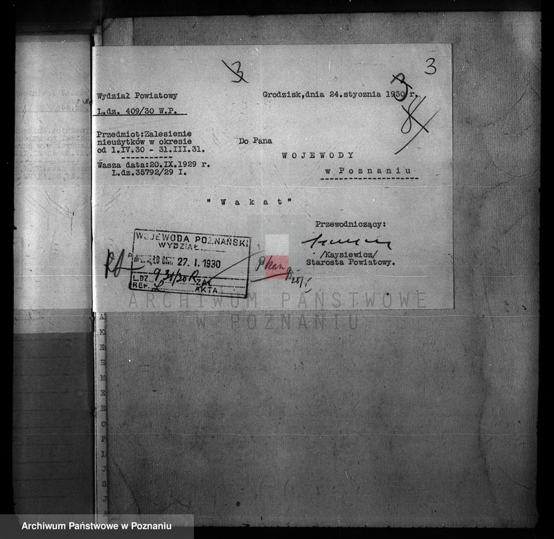 Obraz 7 z jednostki "Zalesienie nieużytków w powiecie nowotomyskim"