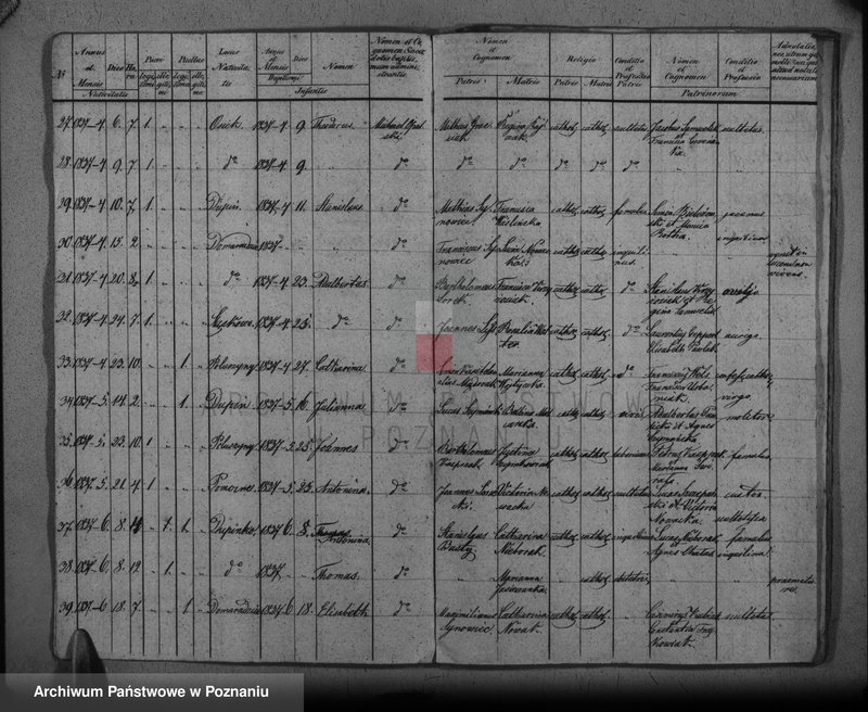 Obraz 6 z jednostki "Duplikat baptisatorum, copulatorum, mortuorum"
