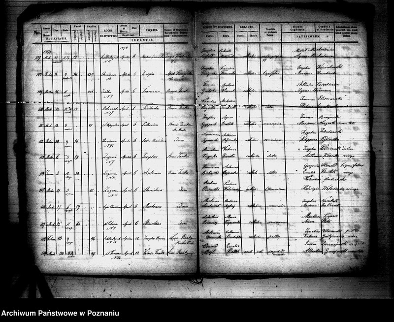 Obraz 11 z jednostki "Księga urodzeń"