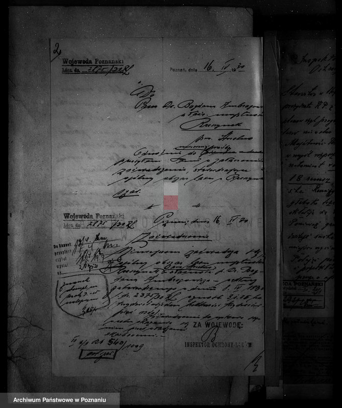 Obraz 7 z jednostki "/Majętność leśna Rzeszynek powiat mogileński"