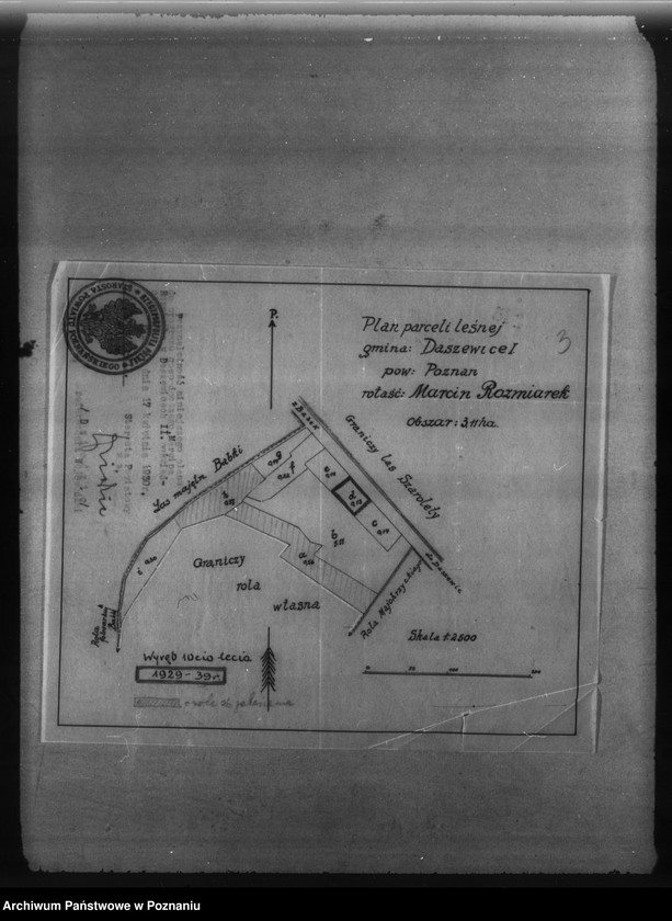 Obraz 7 z jednostki "Program urządzenia gospodarstwa leśnego dla lasu majętności Marcina Rozmiarka w Daszewicach powiat poznański"