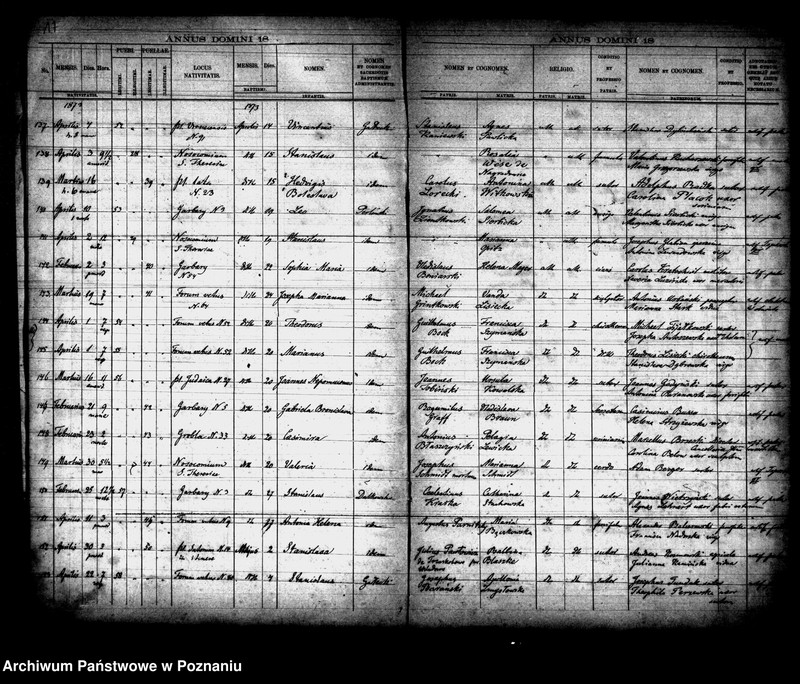 Obraz 10 z jednostki "Księga urodzin"