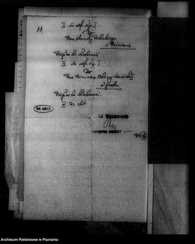 Obraz 15 z jednostki "Majętność /leśna/ Wielkie Łęki powiat kościański"